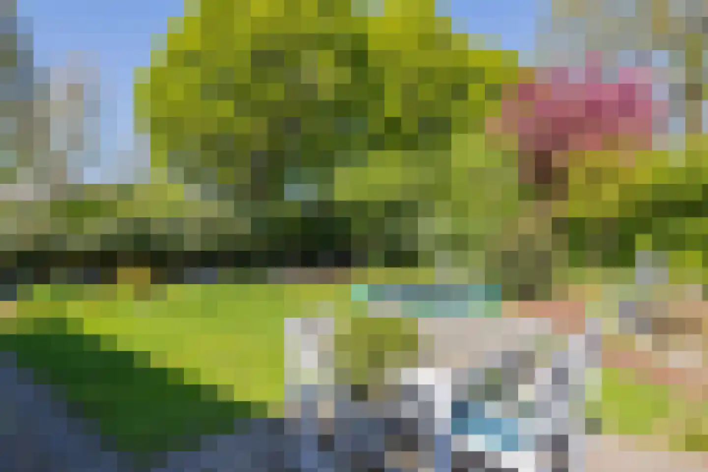 Catswende 64 Hillegom thumbnail 20