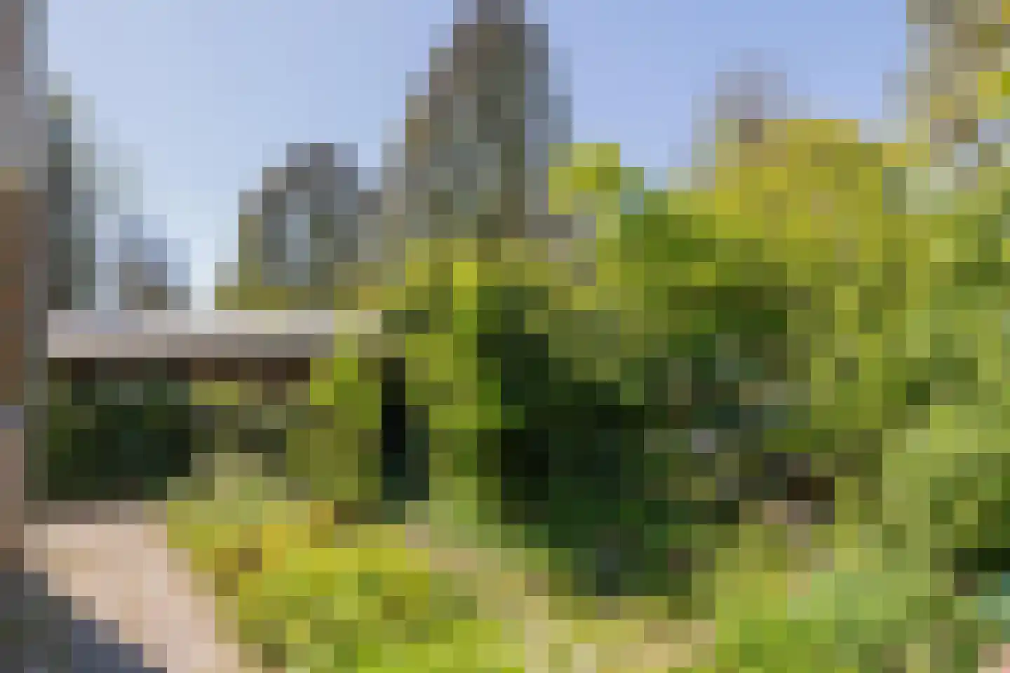 Catswende 64 Hillegom thumbnail 21