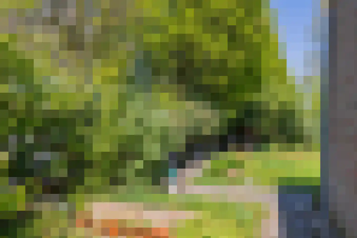 Catswende 64 Hillegom thumbnail 22