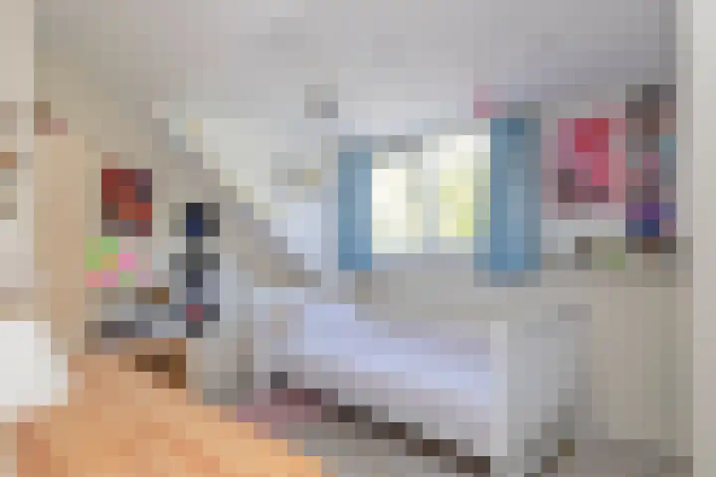 Catswende 64 Hillegom thumbnail 30