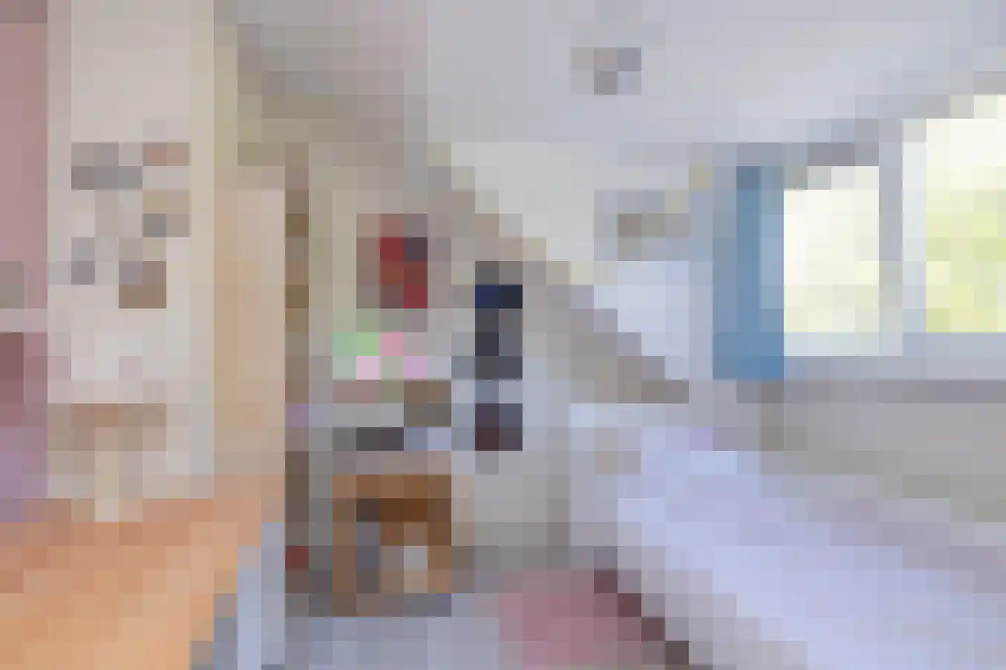 Catswende 64 Hillegom thumbnail 31