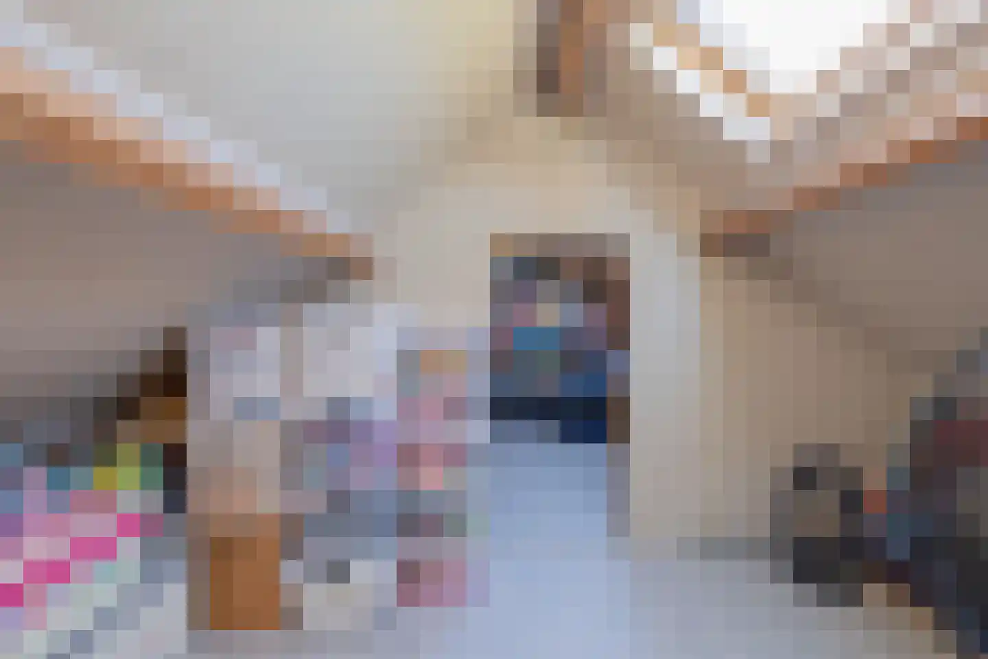 Catswende 64 Hillegom thumbnail 42