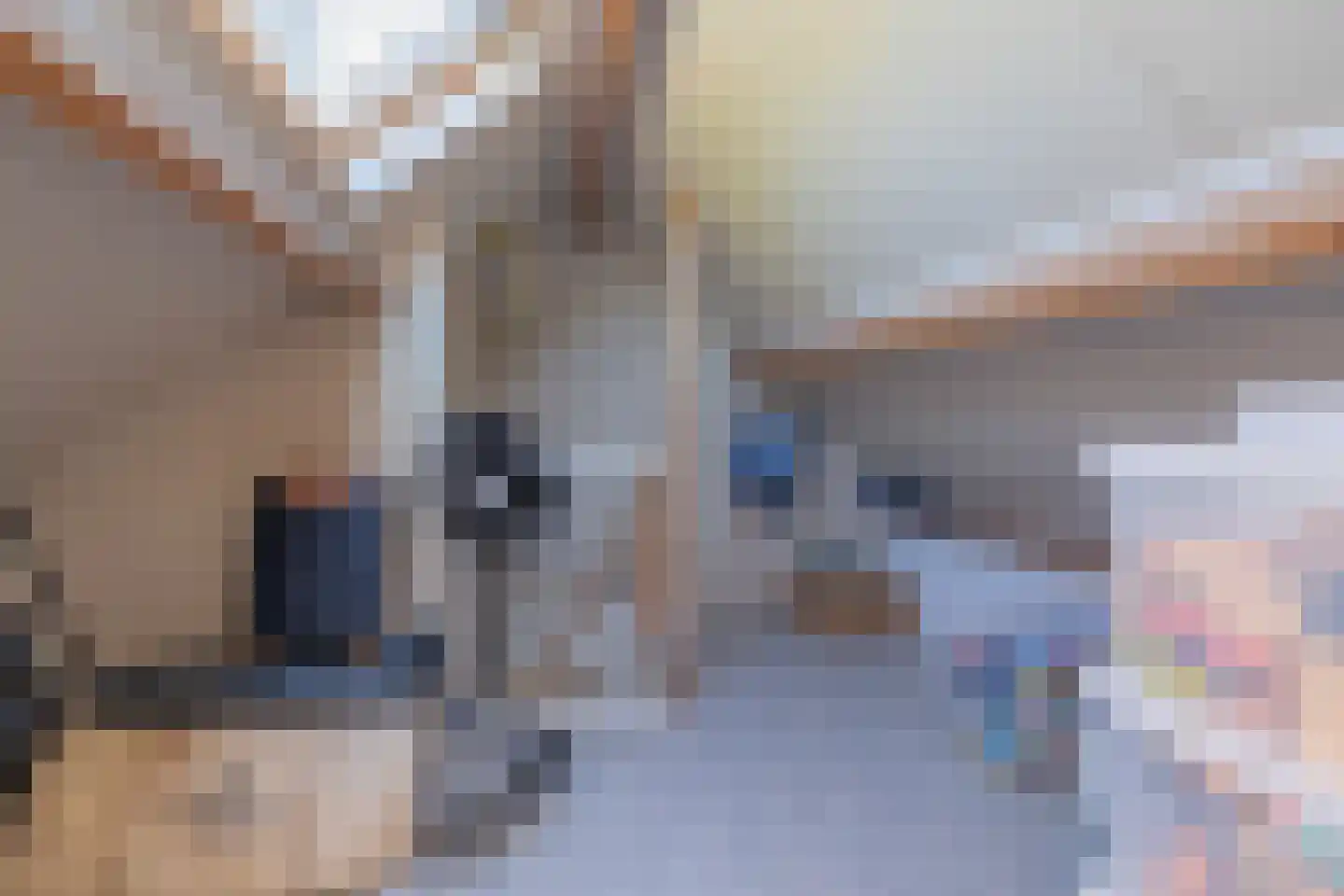 Catswende 64 Hillegom thumbnail 45