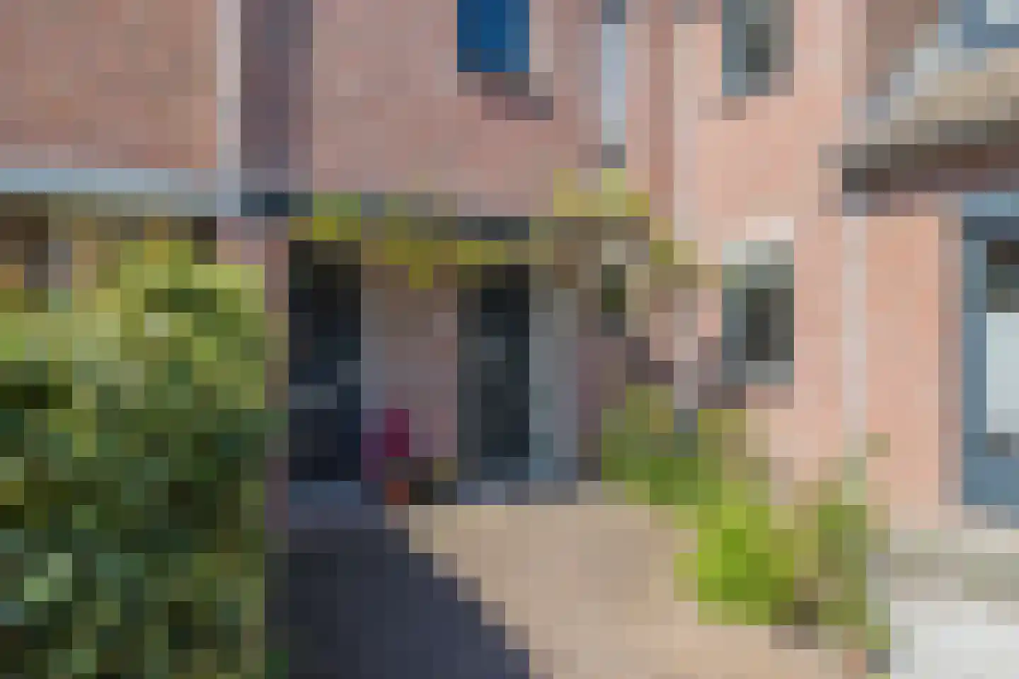 Catswende 64 Hillegom thumbnail 5
