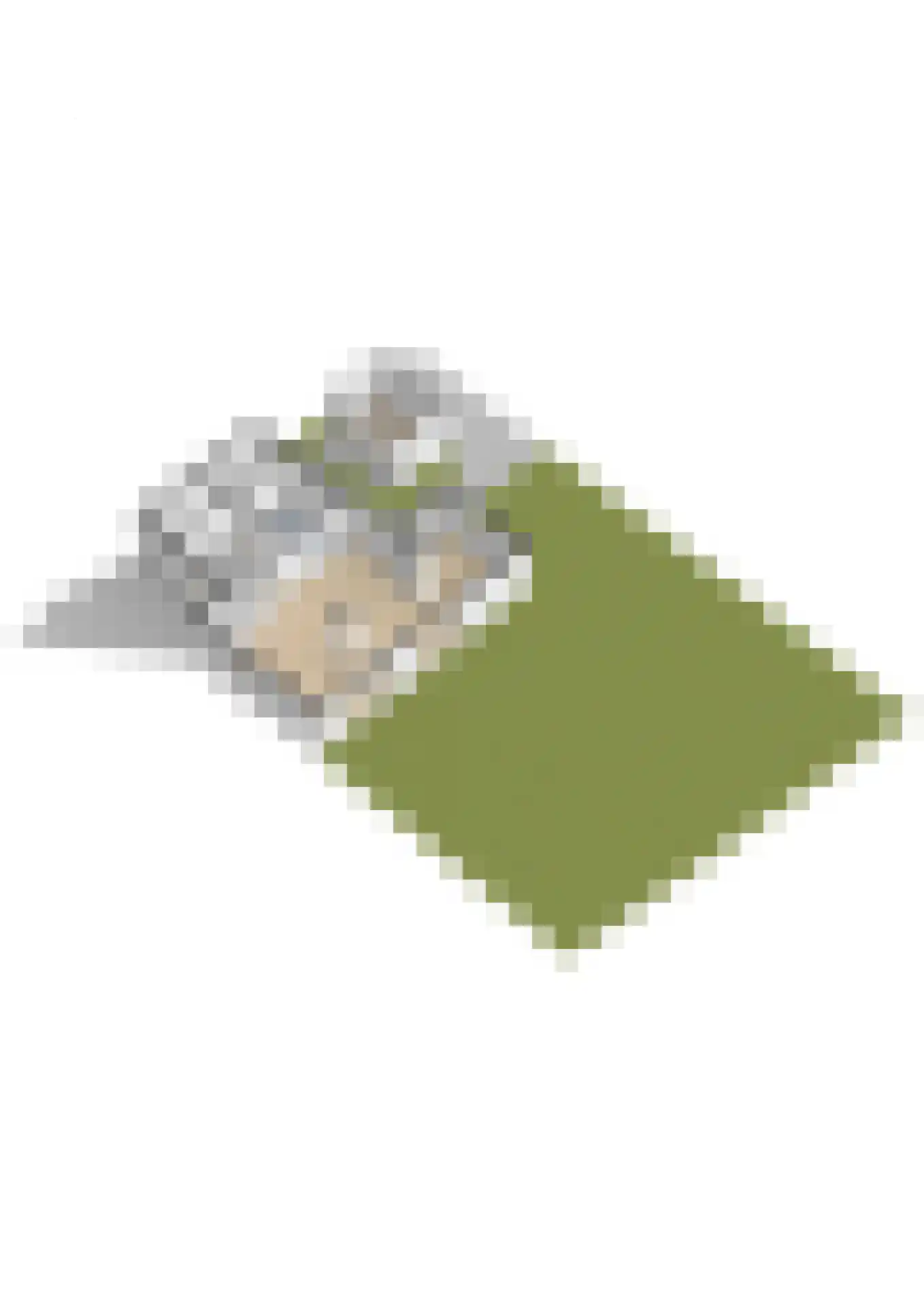 Catswende 64 Hillegom thumbnail 56