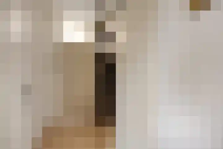 Catswende 88 Hillegom thumbnail 13