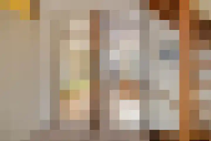 Catswende 88 Hillegom thumbnail 14