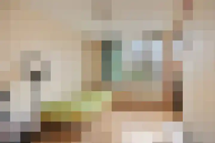 Catswende 88 Hillegom thumbnail 15