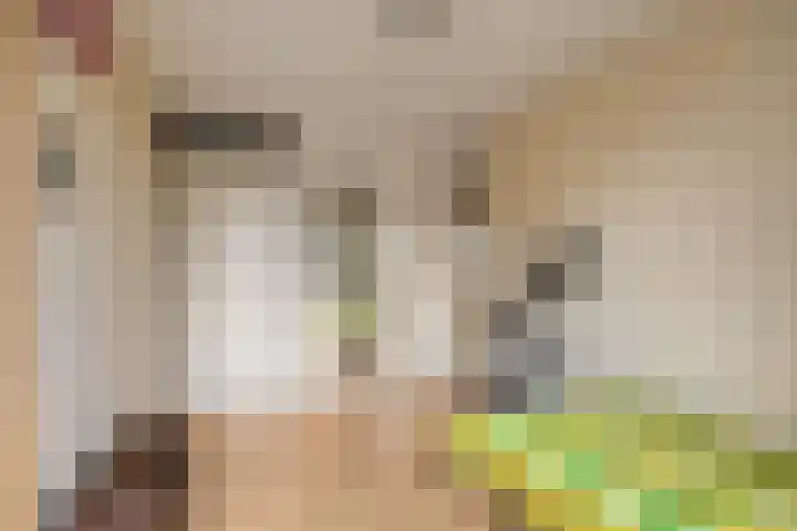 Catswende 88 Hillegom thumbnail 16