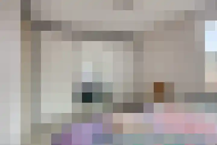 Catswende 88 Hillegom thumbnail 20