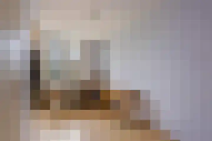 Catswende 88 Hillegom thumbnail 21