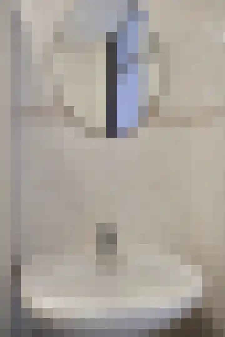 Catswende 88 Hillegom thumbnail 24