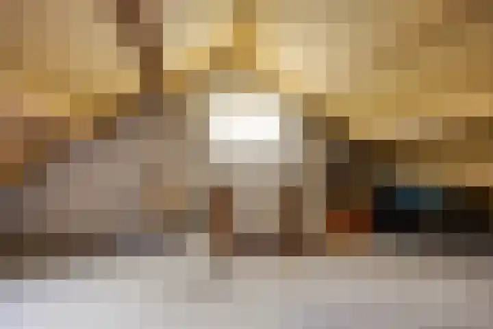Catswende 88 Hillegom thumbnail 26