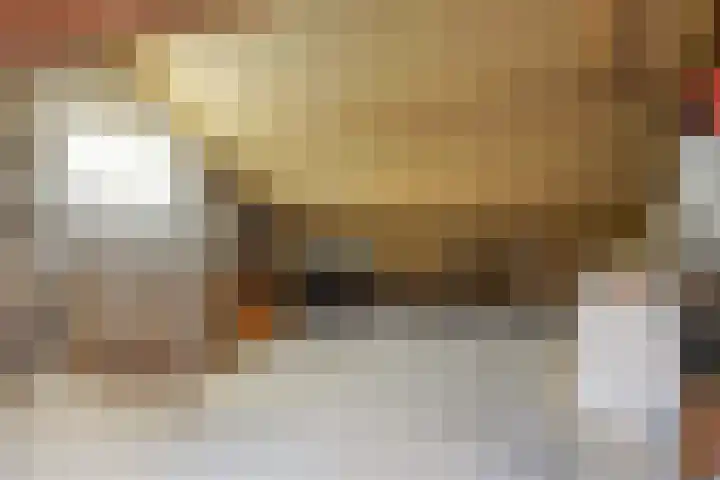 Catswende 88 Hillegom thumbnail 27