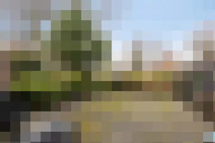 Catswende 88 Hillegom thumbnail 29