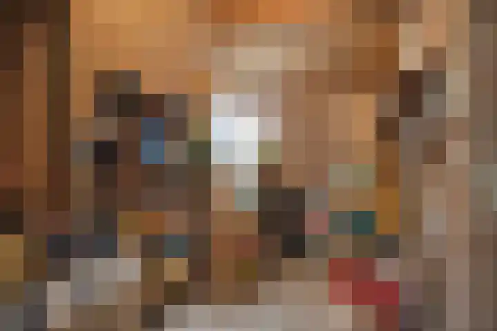 Catswende 88 Hillegom thumbnail 30