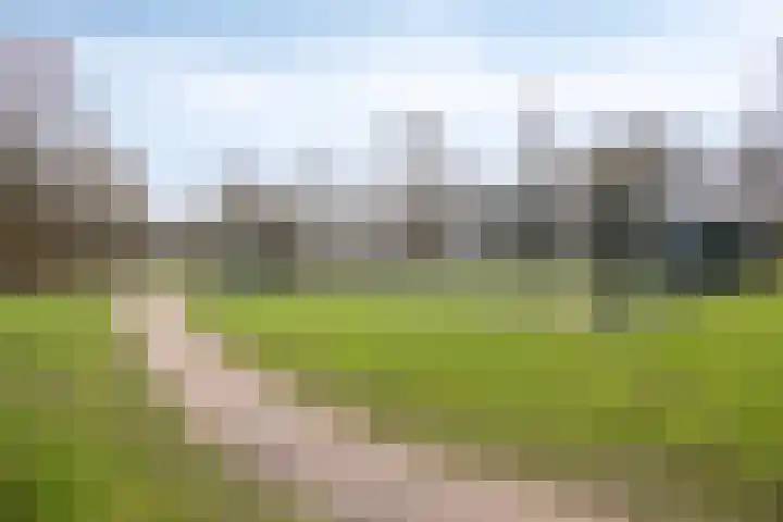 Catswende 88 Hillegom thumbnail 33