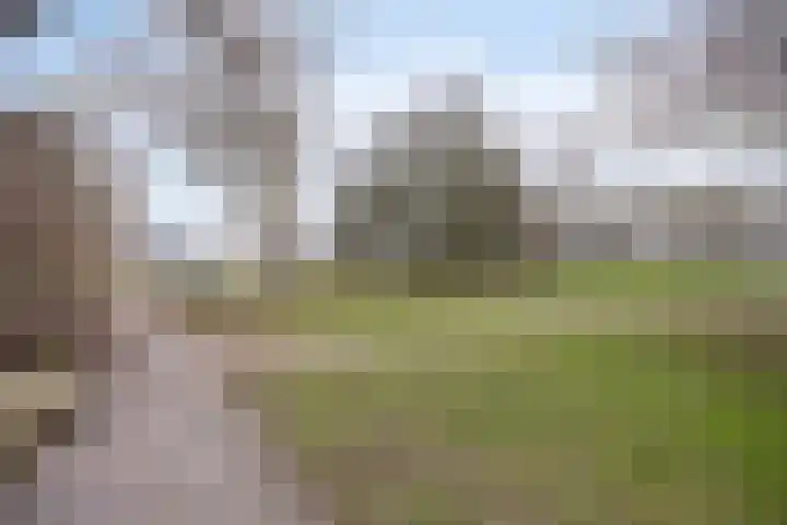 Catswende 88 Hillegom thumbnail 35