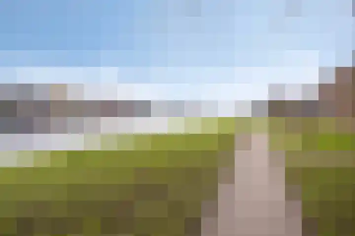 Catswende 88 Hillegom thumbnail 36