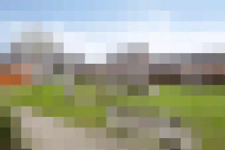 Catswende 88 Hillegom thumbnail 38