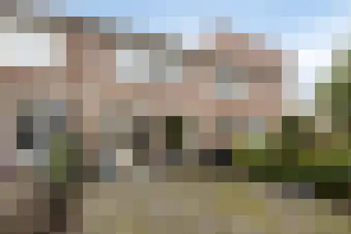 Catswende 88 Hillegom thumbnail 4