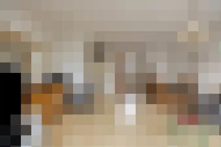Catswende 88 Hillegom thumbnail 6