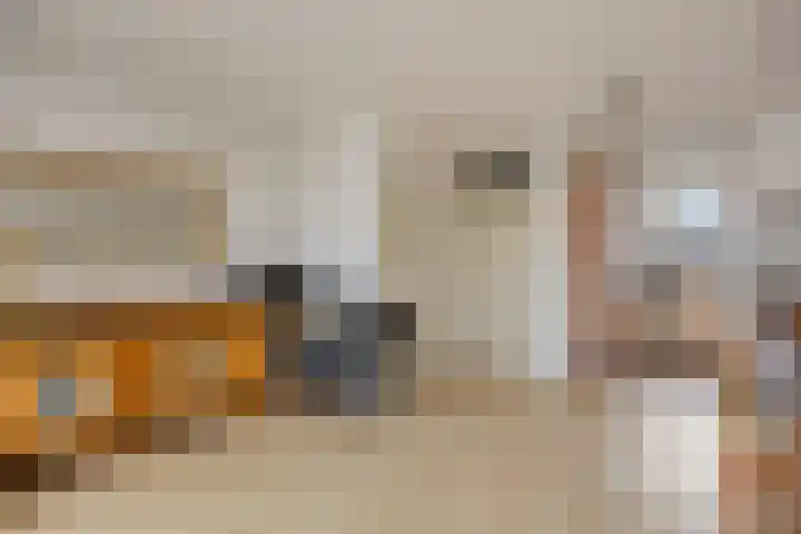 Catswende 88 Hillegom thumbnail 7