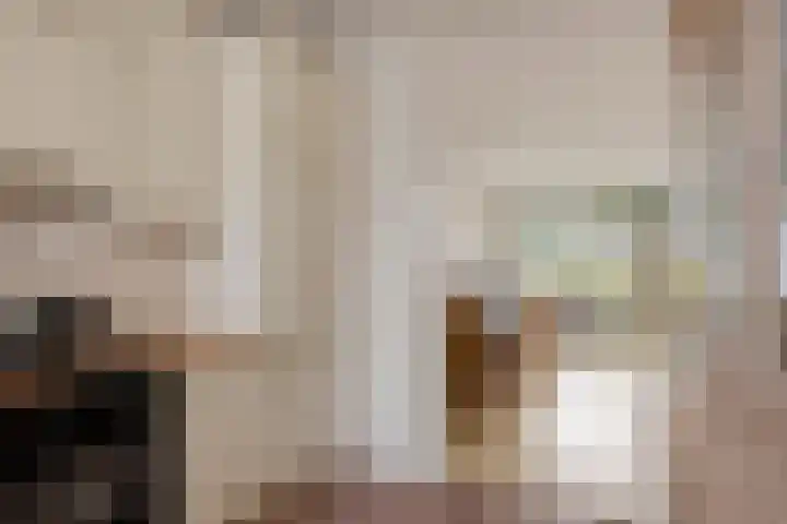 Catswende 88 Hillegom thumbnail 9