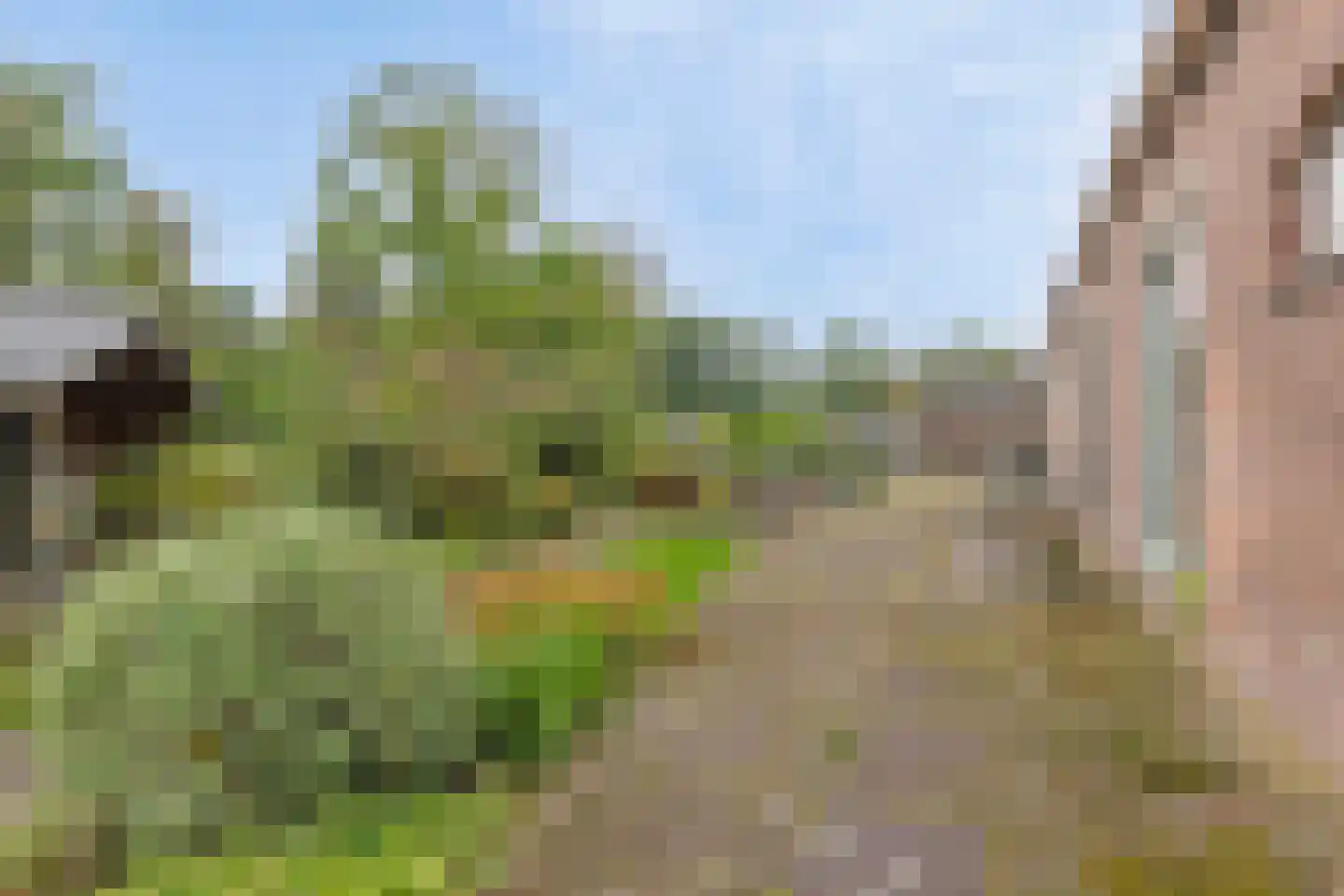 Cattenbroekerdijk 13 A Woerden thumbnail 24