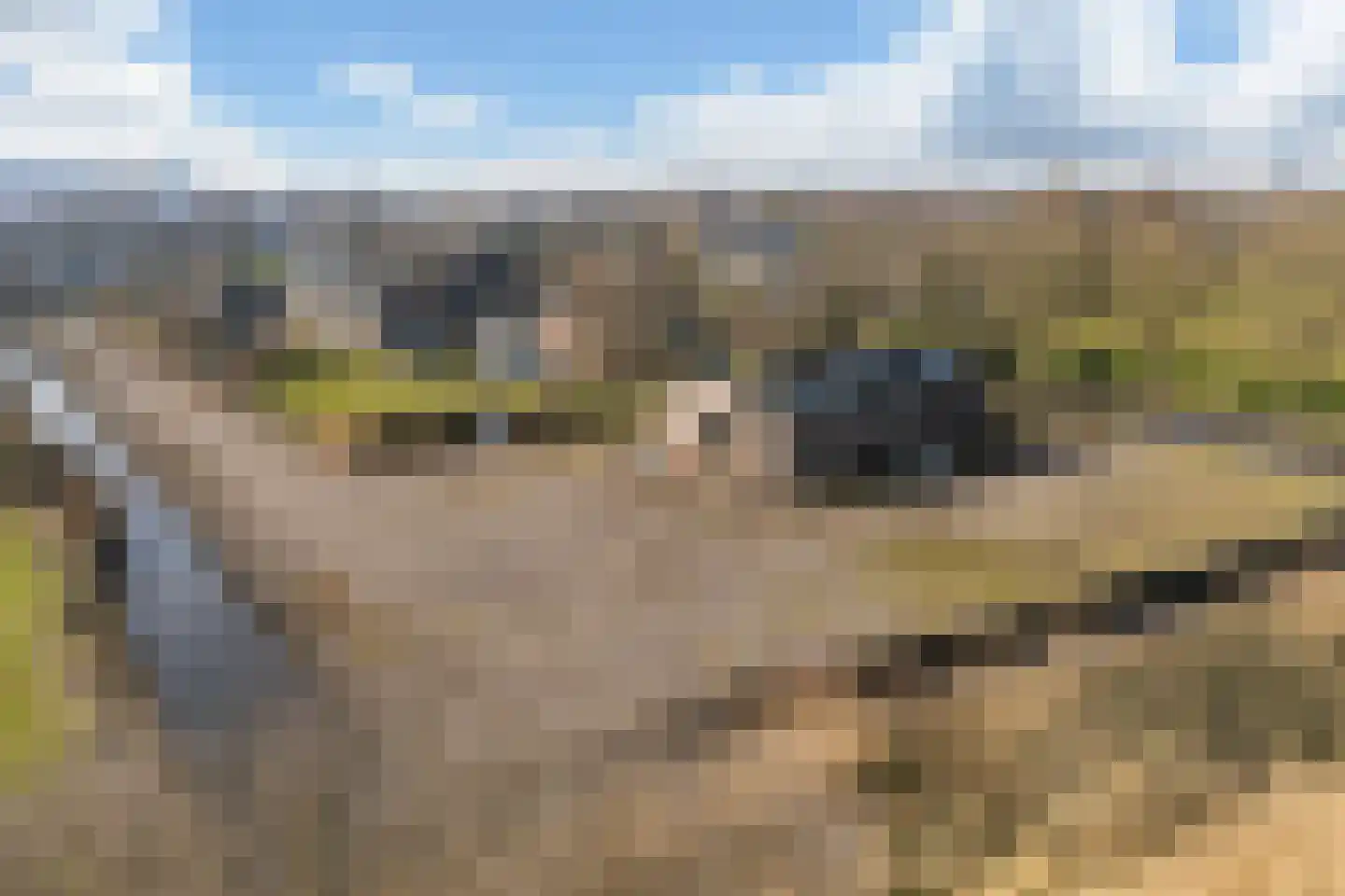 Cattenbroekerdijk 13 B Woerden thumbnail 5