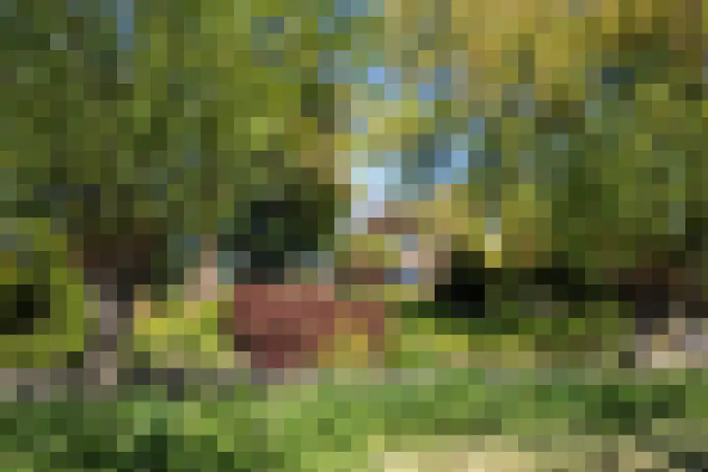 Cattenbroekerdijk 26 a Linschoten thumbnail 4