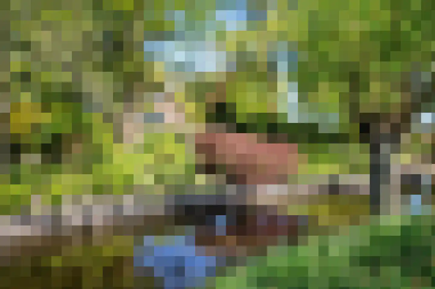 Cattenbroekerdijk 26 a Linschoten thumbnail 6