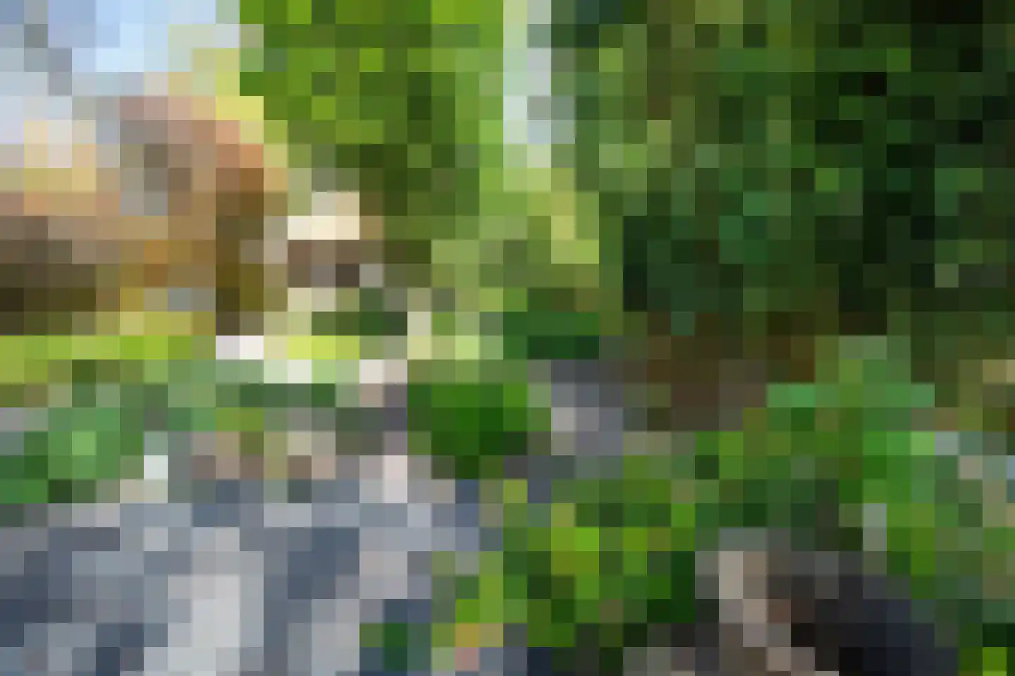 Cattenbroekerdijk 26 a Linschoten thumbnail 64