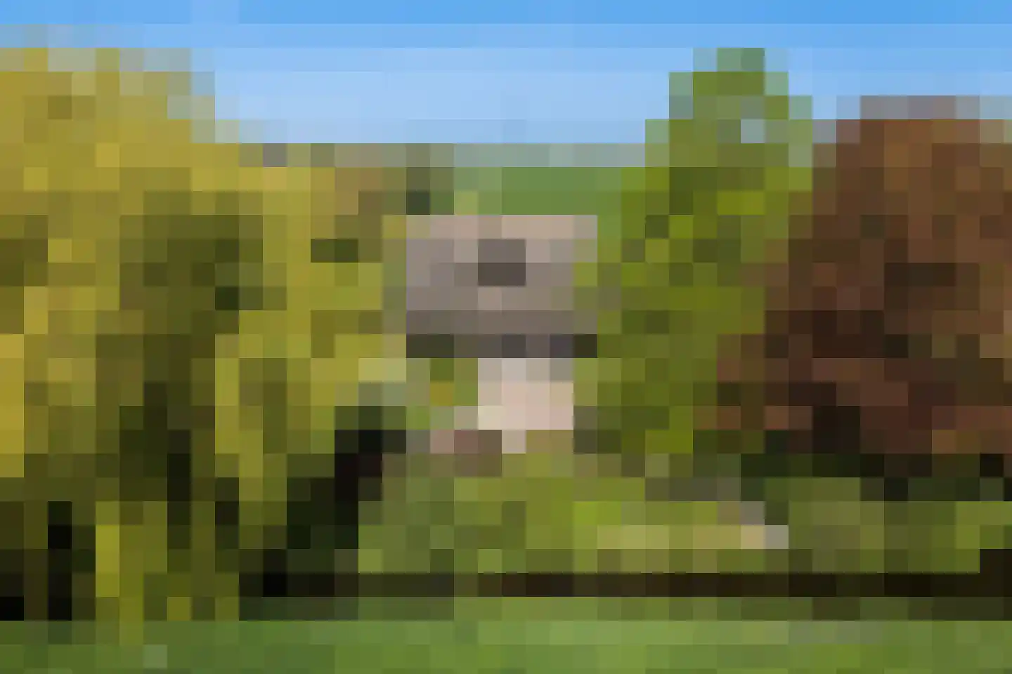 Cattenbroekerdijk 26 a Linschoten thumbnail 86