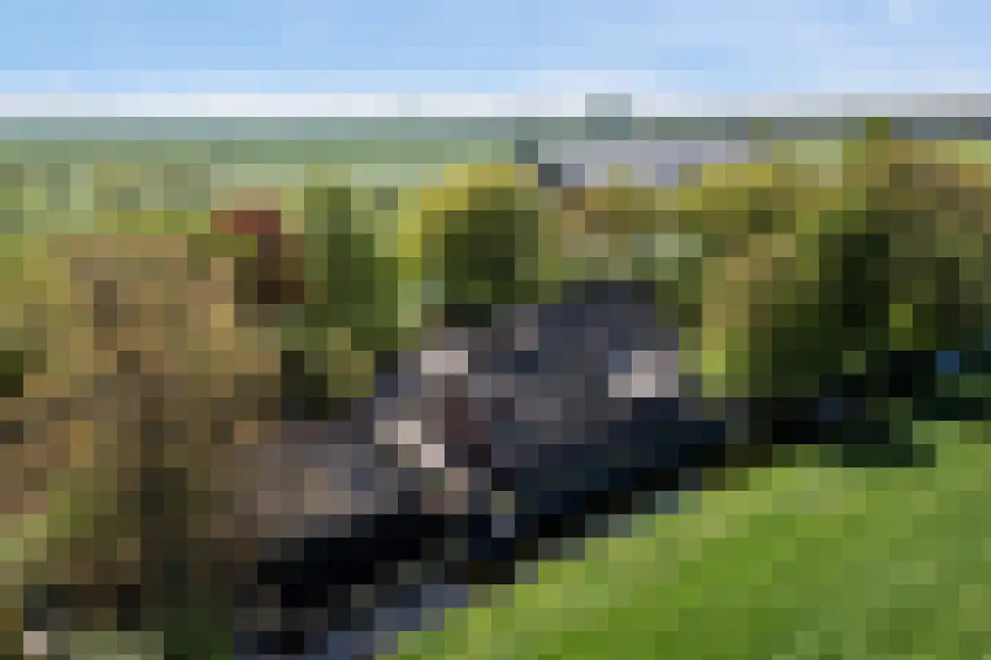 Cattenbroekerdijk 26 a Linschoten thumbnail 87