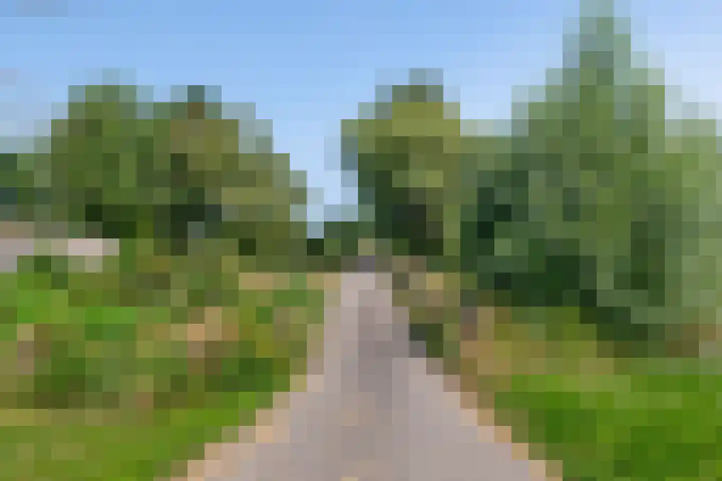 Cattenbroekerdijk 52 Linschoten thumbnail 10
