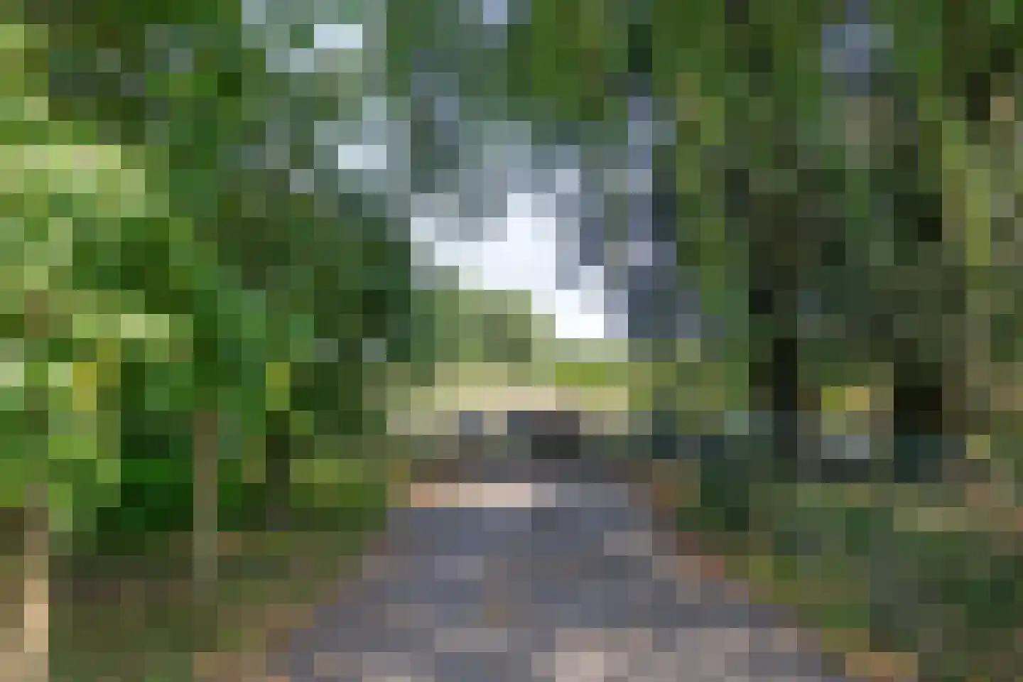 Cattenbroekerdijk 52 Linschoten thumbnail 5
