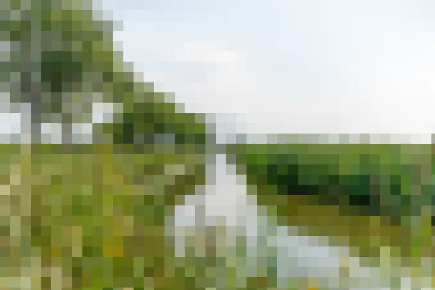 Cattenbroekerdijk 52 Linschoten thumbnail 56