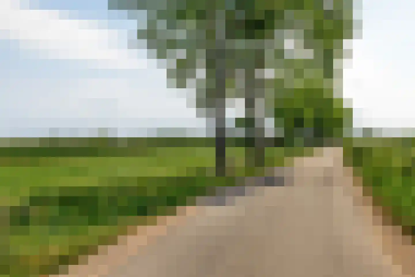 Cattenbroekerdijk 52 Linschoten thumbnail 57