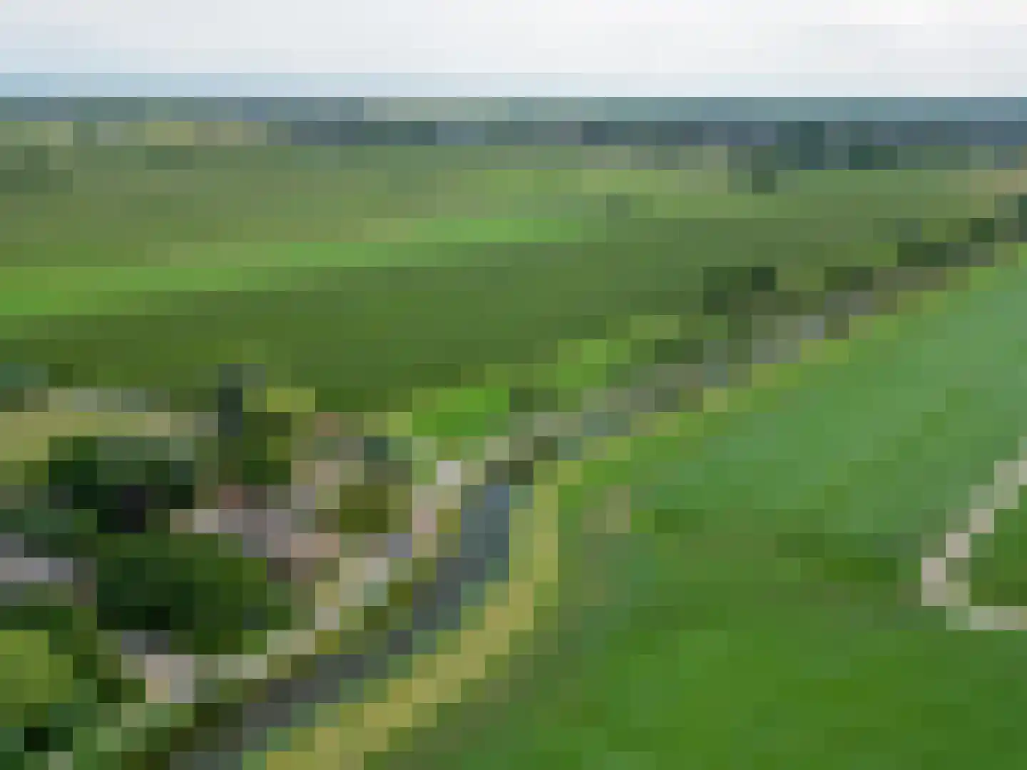 Cattenbroekerdijk 52 Linschoten thumbnail 65