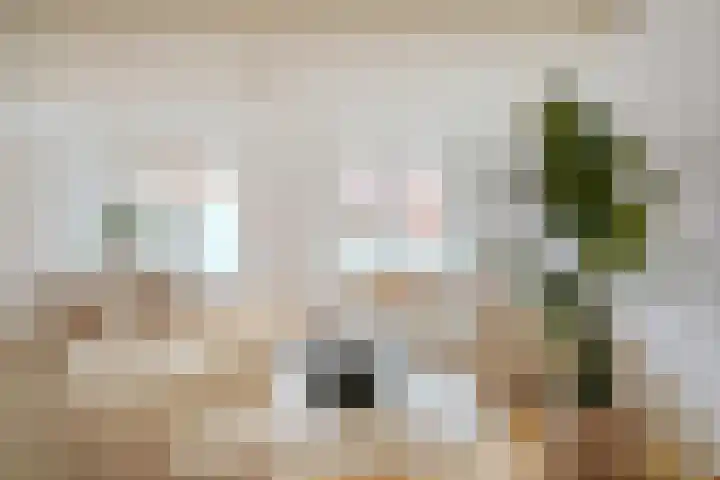 Cattenhagestraat 10 C Naarden thumbnail 7