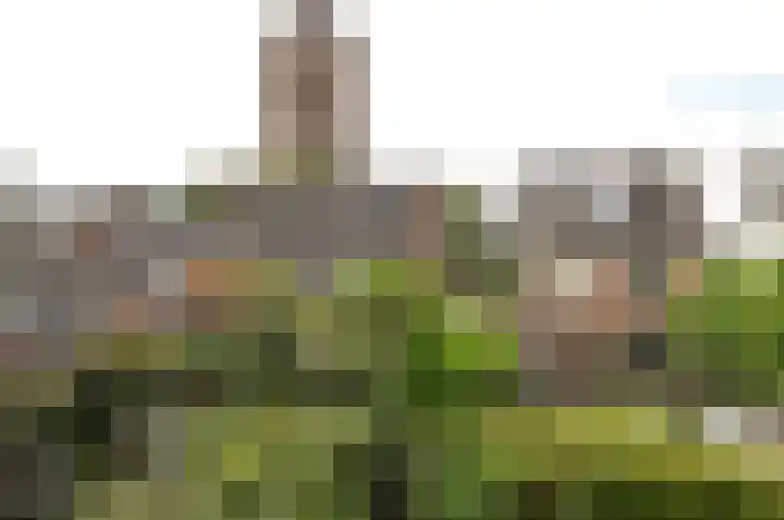 Cattenhagestraat 25 Naarden thumbnail 13