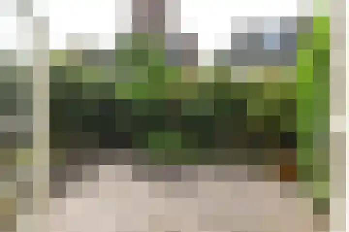 Cattenhagestraat 25 Naarden thumbnail 8