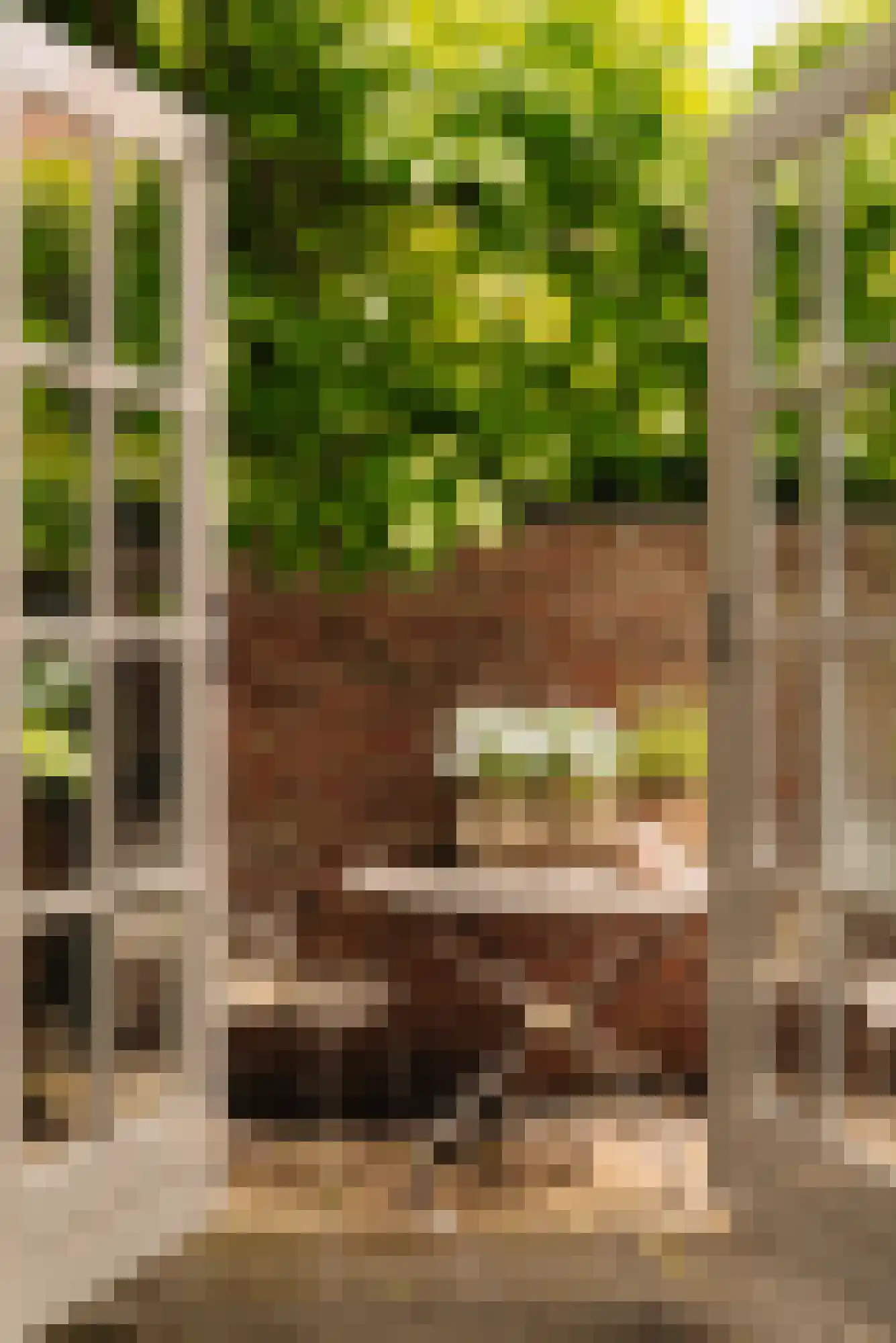 Cattenhagestraat 38 Naarden thumbnail 14