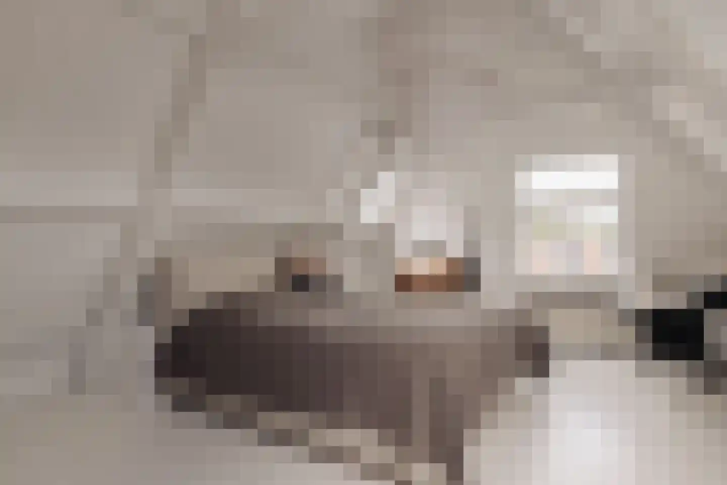Cattenhagestraat 38 Naarden thumbnail 33