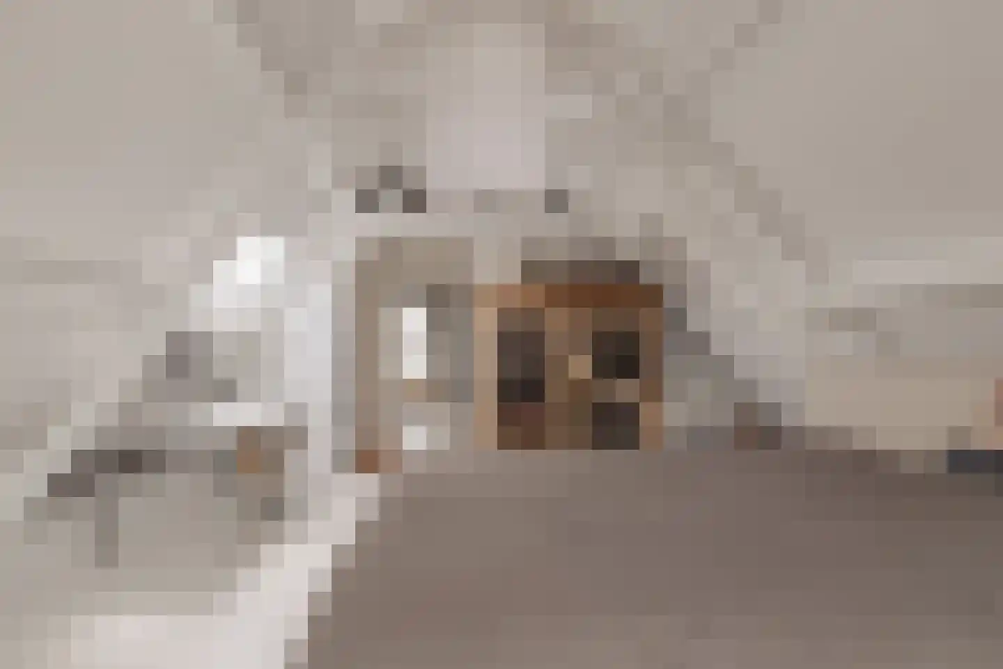 Cattenhagestraat 38 Naarden thumbnail 34
