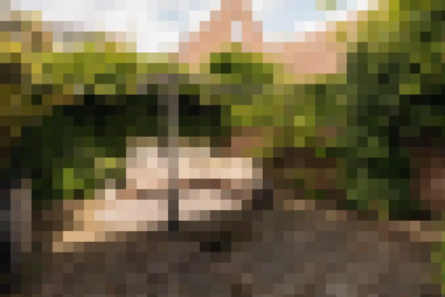 Cattenhagestraat 38 Naarden thumbnail 4