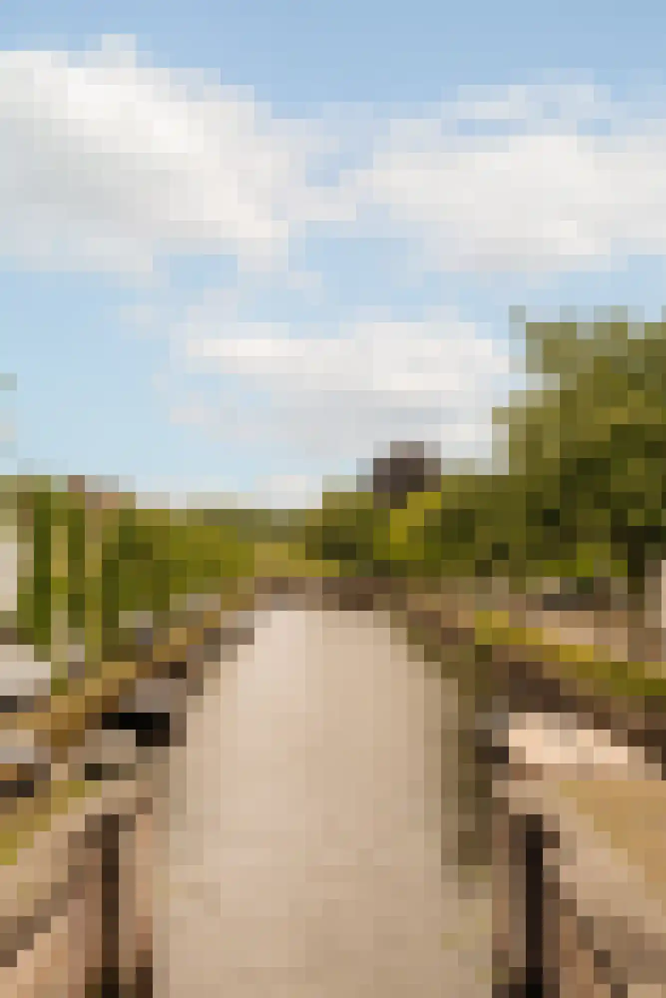 Cattenhagestraat 38 Naarden thumbnail 41