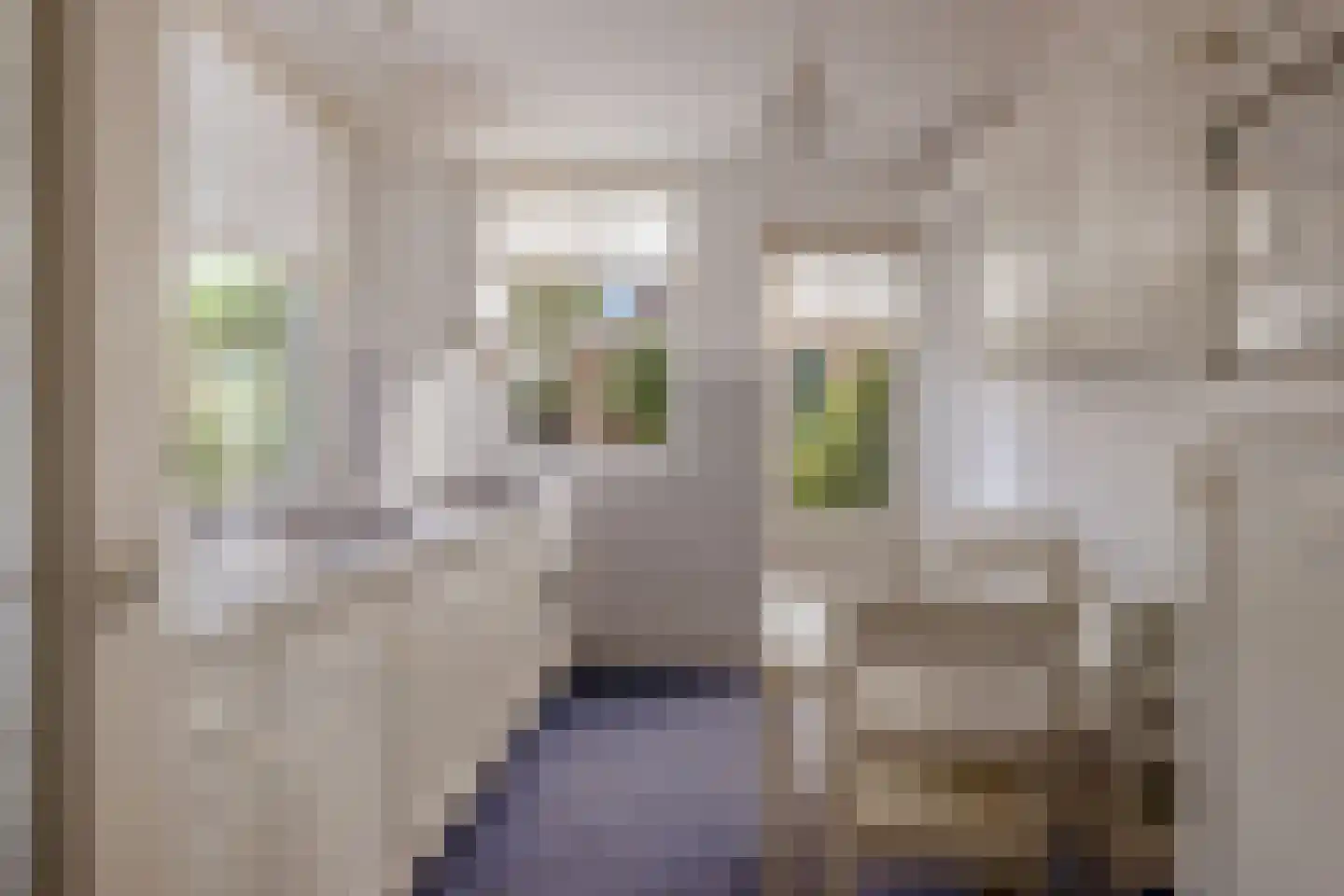 Cattenhagestraat 55 Naarden thumbnail 11