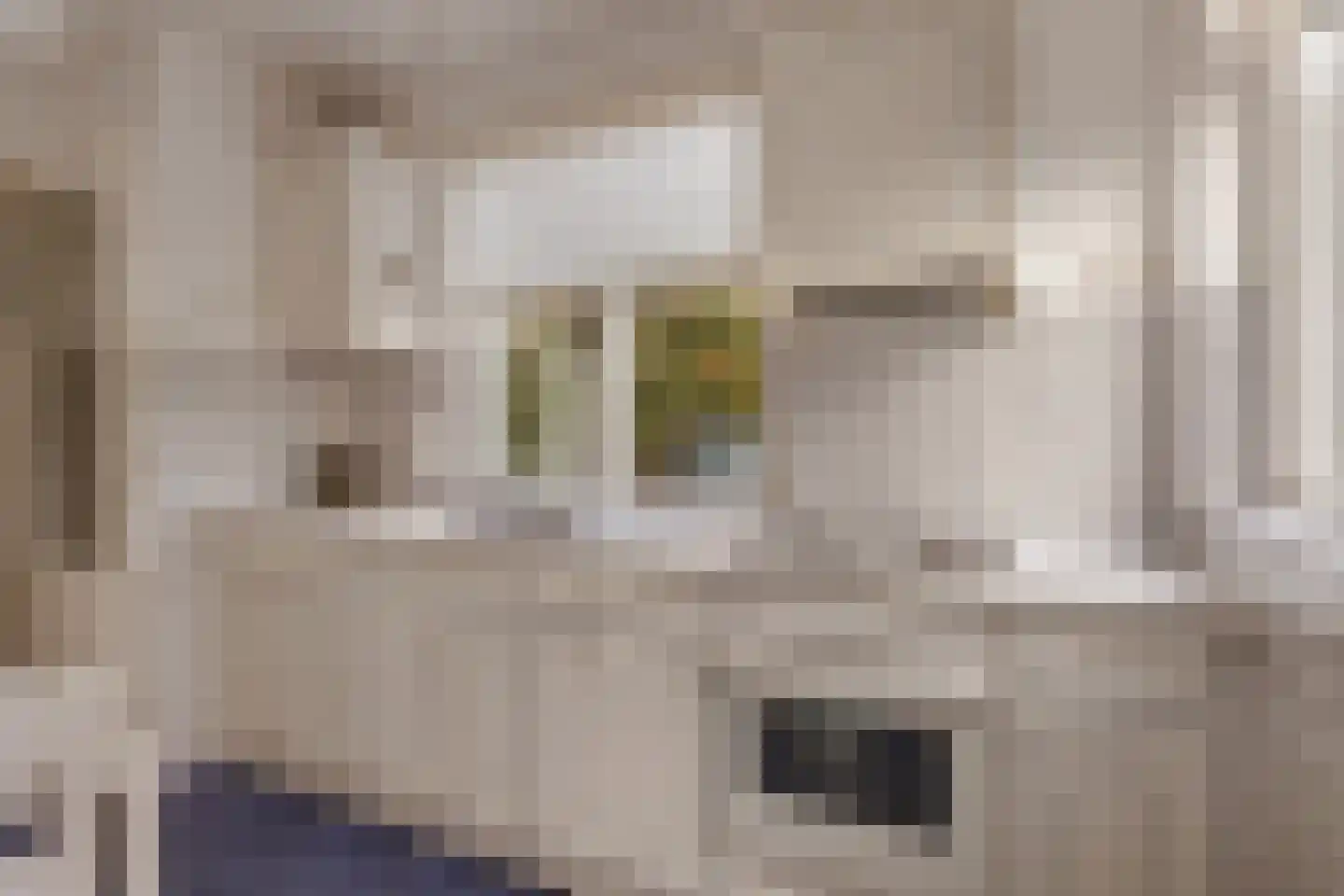 Cattenhagestraat 55 Naarden thumbnail 12